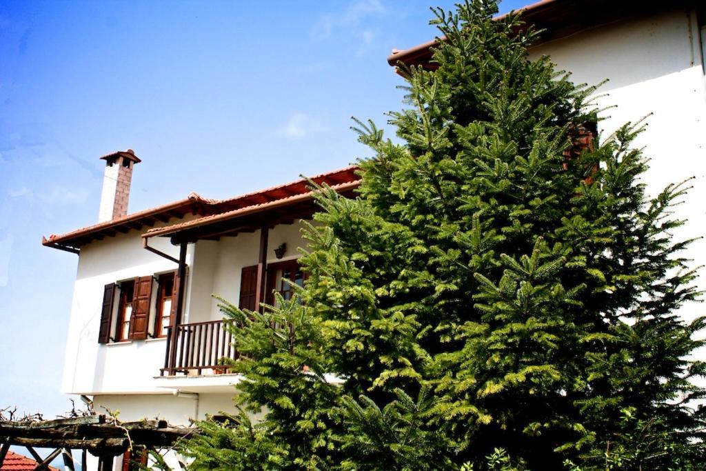 לינה וארוחת בוקר פורטאריה Elatos Country House מראה חיצוני תמונה